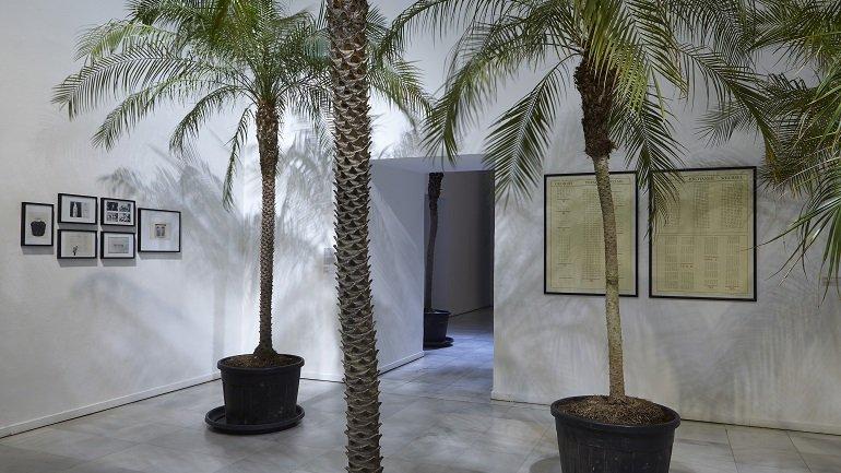 Vista de la exposición de Marcel Broodthaers en el Museo Nacional Centro de Arte Reina Sofía